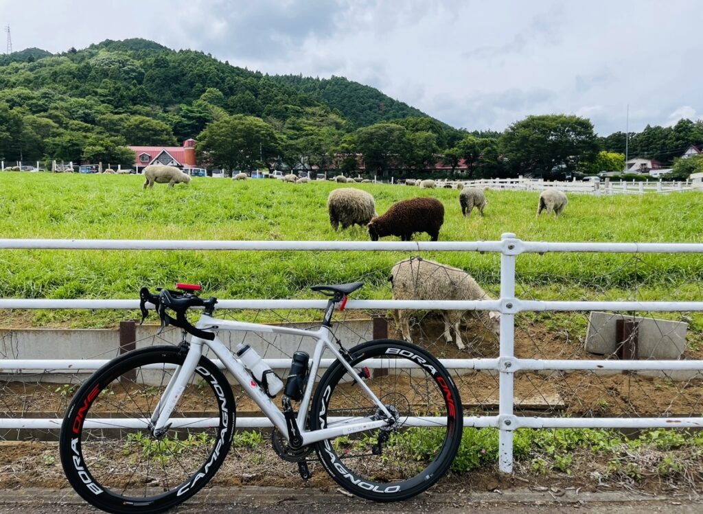 牧場を背景に白いロードバイクを撮影した様子